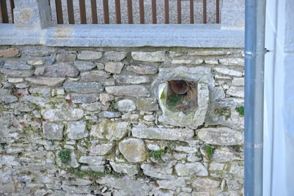 Burgen und Schlösser (18)