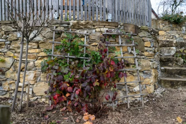 Garten und Architektur (1)