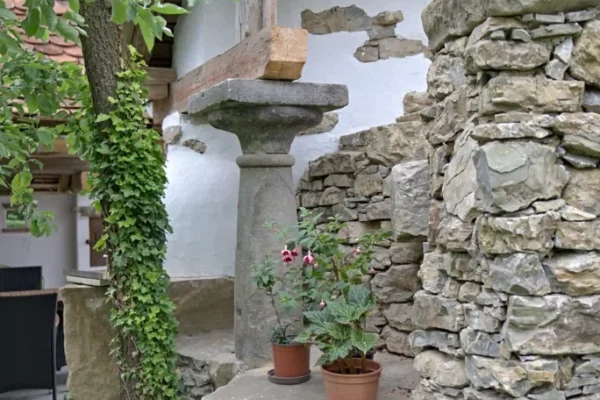 Garten und Architektur (10)