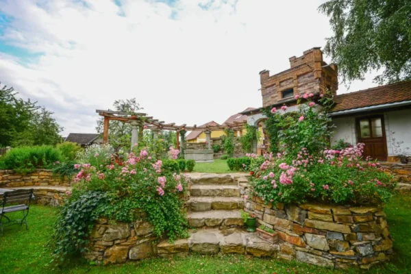Garten und Architektur (38)
