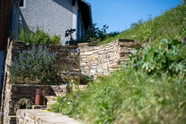 Garten und Architektur (71)