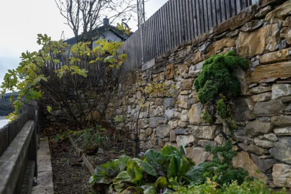 Garten und Architektur (72)