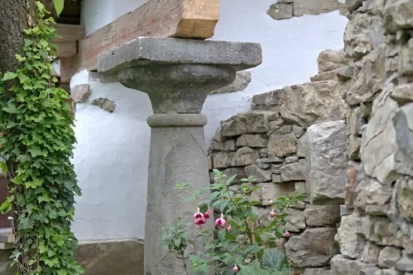 Garten und Architektur (9)