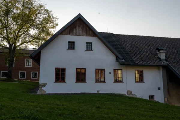 Naturkalk und Handputz (26)